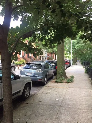 Rented by A D Shaye Realty Group  | media 6