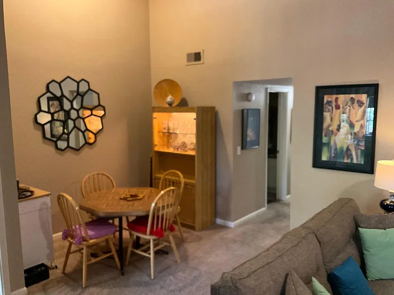 747 S Extension Rd #207 — Photo 10