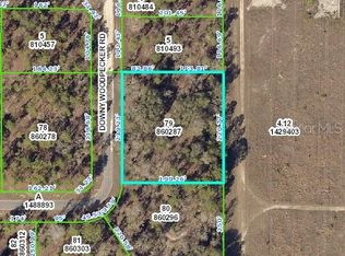 13430 Downy Woodpecker Rd, Weeki Wachee, FL 34614