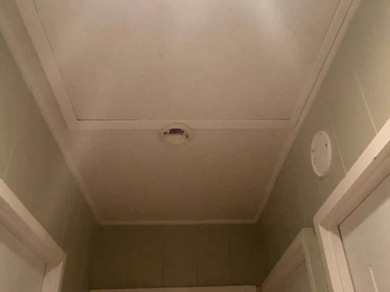 Attic Space and storage closet