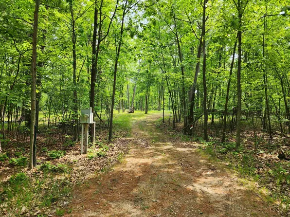 LOT 1340 Pine Run Rd, Farwell, MI 48622