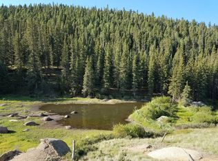 36 Arapahoe Creek Dr, Florissant, CO 80816