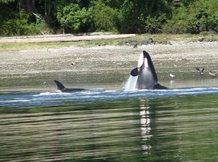 471 SE Old Arcadia Rd, Shelton, WA 98584