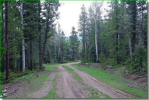 5th image of 1328 Biaggini Ln