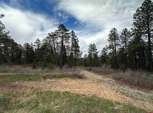 291 Saddle Trl, Durango, CO 81301