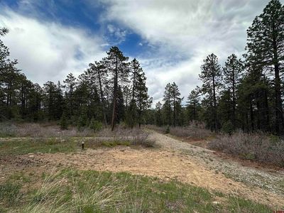 291 Saddle Trail, Durango, CO, 81301