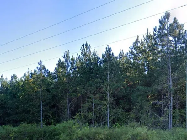 0 Willie Varnum Rd, Dothan, AL 36301