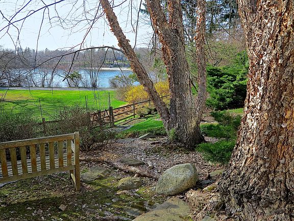 View from the backyard