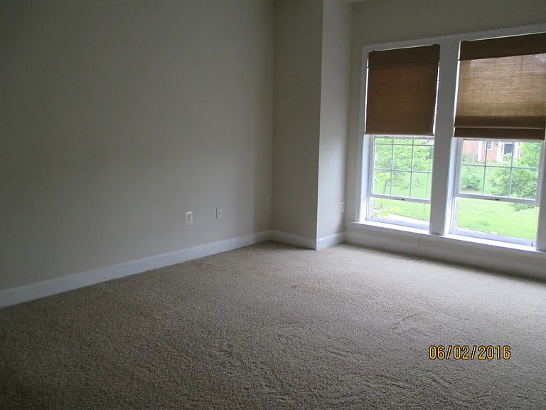 14784 Potomac Branch Dr — Photo 7