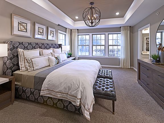 Luxury owner's suite with tray ceiling