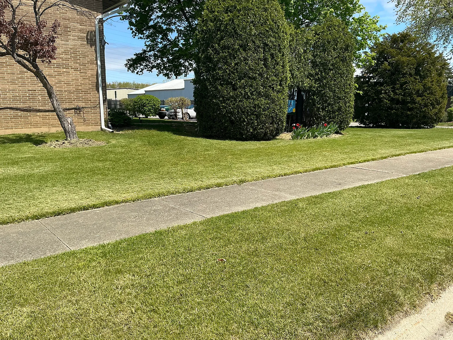 Rolling Hills — Photo 4