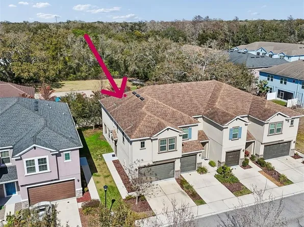 6867 Citrus Creek Ln, Tampa, FL 33625