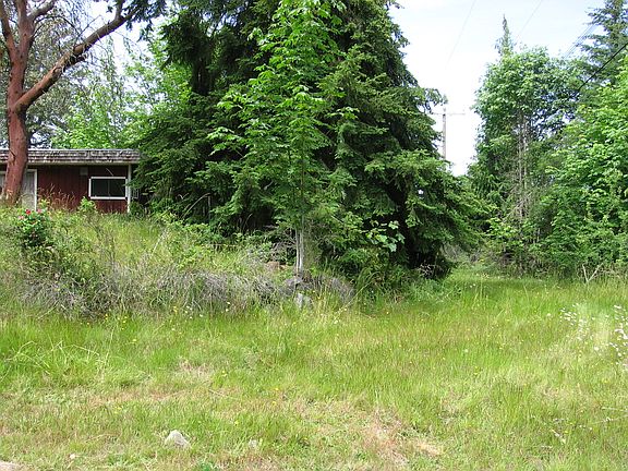 3rd image of Deer Park Road