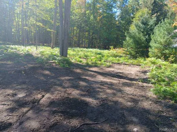 0 Goldenrod Dr, Houghton Lake, MI 48629