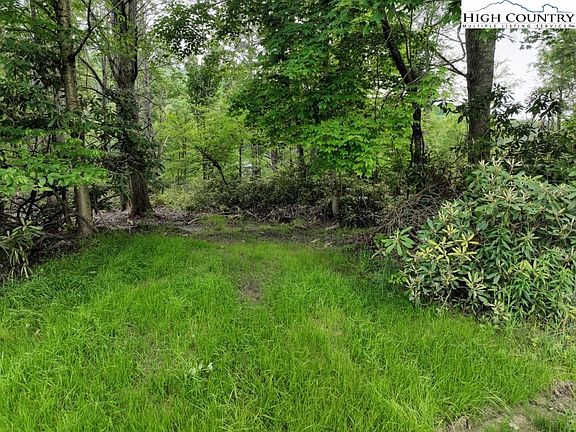 4th image of 1772 Ripshin Mountain Road