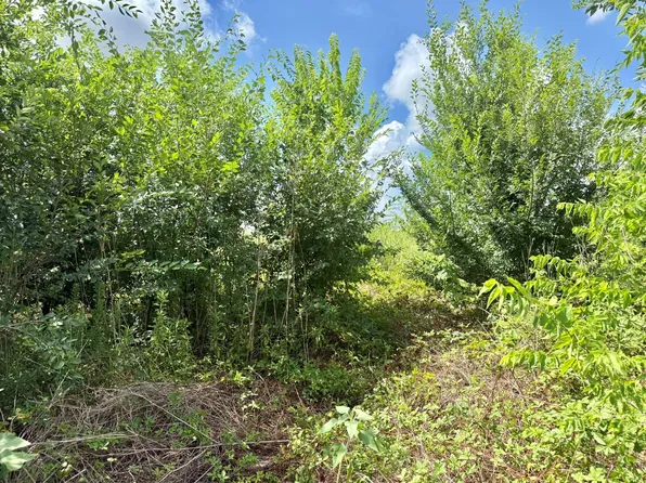 0 Alief Clodine Rd, Houston, TX 77082