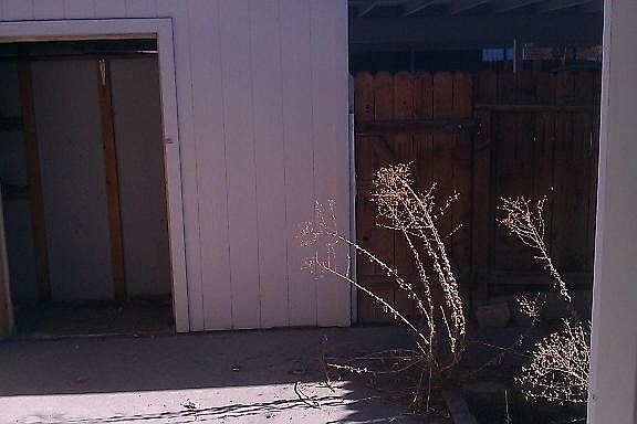 2nd image of 1328 Ashby Ct