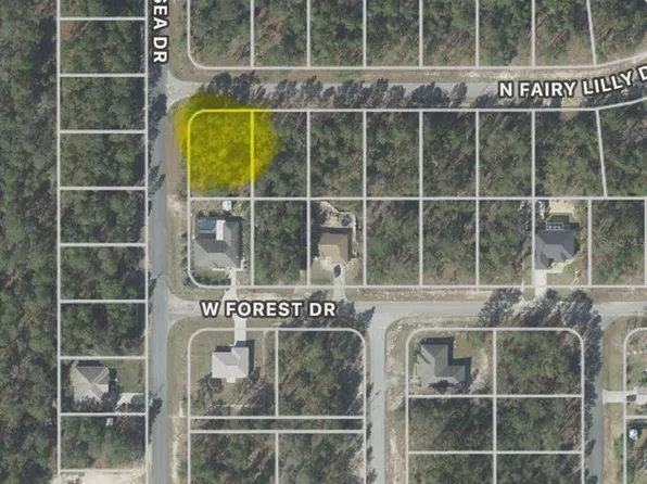 9309 N Fairy Lilly Dr #18, Dunnellon, FL 34433