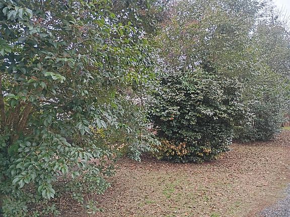 2nd image of 111 Harvard Dr