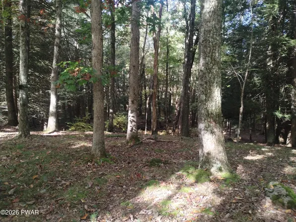 131 Water View Dr, Hawley, PA 18428
