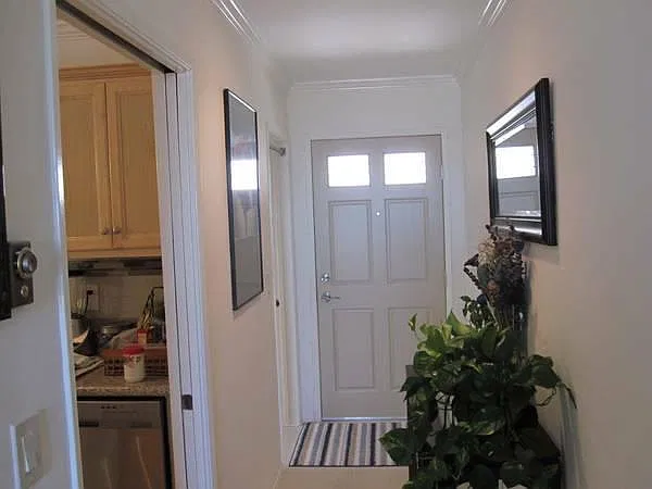 Apt entry door