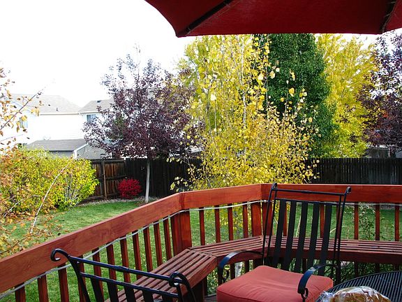 Fall view