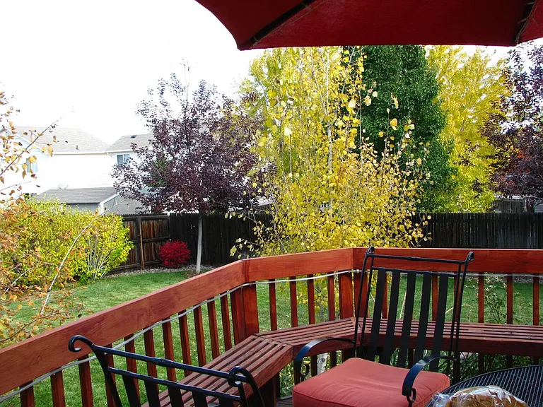 Fall view