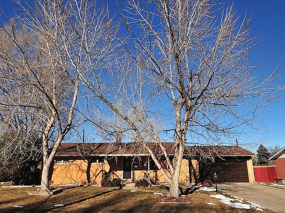 House Front with 2 Maples