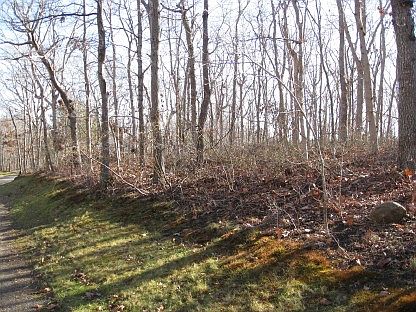 5th image of 142 Laurel Dr