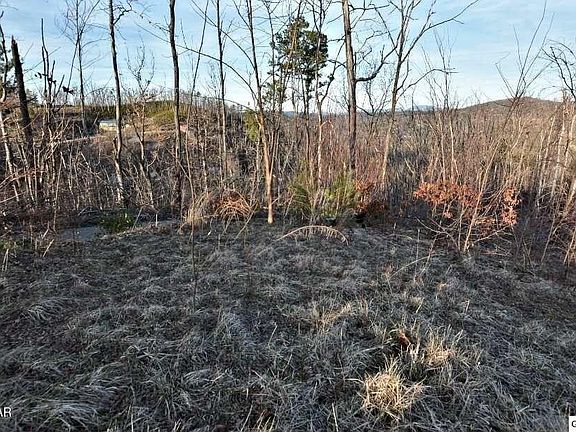 3rd image of 429 Red Hawk Way Lot 487