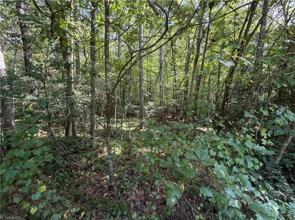 Lots 20 & 21 Zinzendorf Ln, Moravian Falls, NC 28654