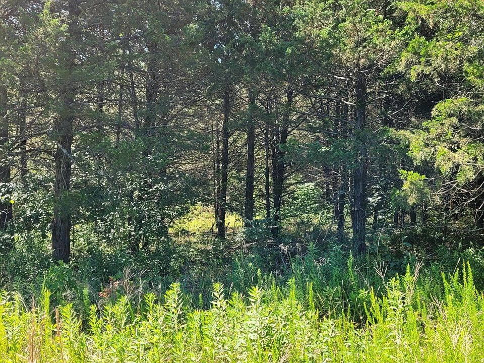 2nd image of River Cove Ln