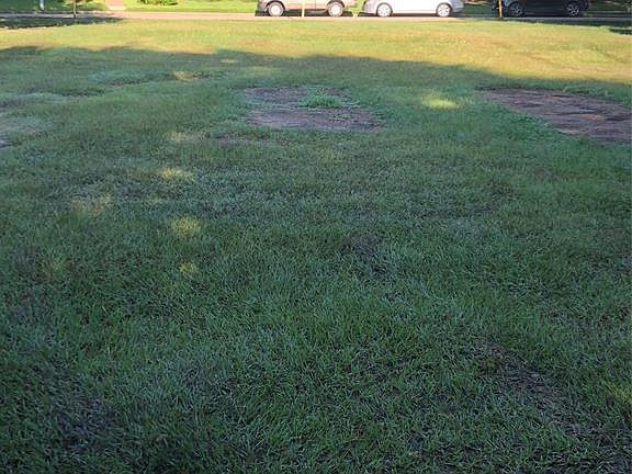 4th image of 5606 Hollow Pines Dr