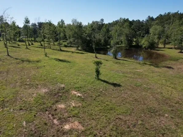 60 Lees Ln, Poplarville, MS 39470