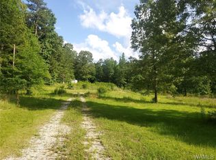 7 Pleasant Grove Rd, Vance, AL 35490