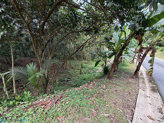 2nd image of 0 Carretera #831