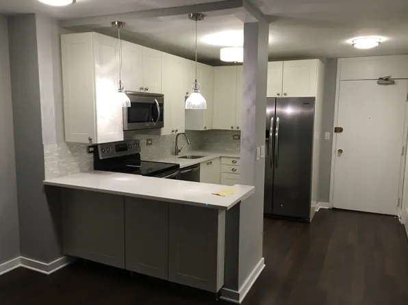 88 W Schiller St APT 1405L, Chicago, IL 60610