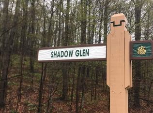 LOT 206 Shadow Glen Ct, Bellaire, MI 49615