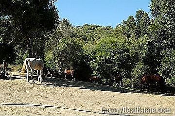 2nd image of 1745 Green Valley Rd
