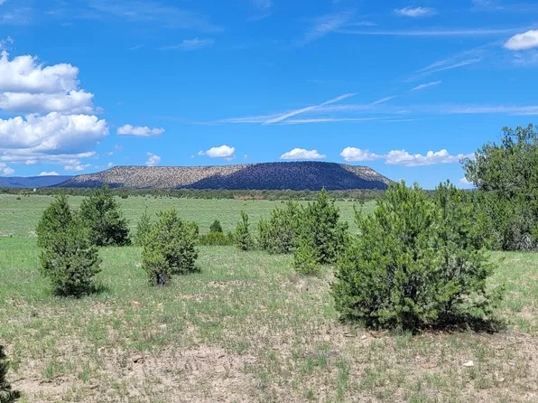 18 Frontier Trl, Datil, NM 87821