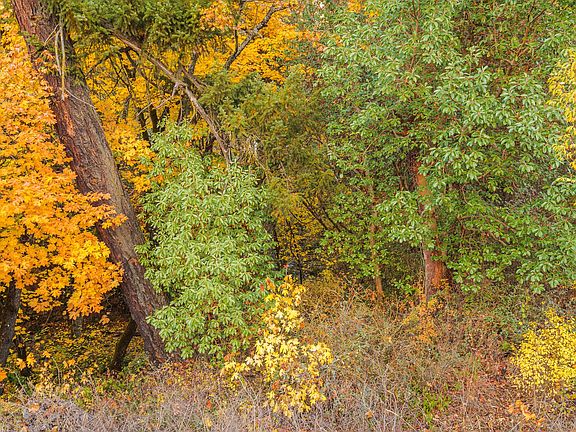 5th image of Rogue River Hwy