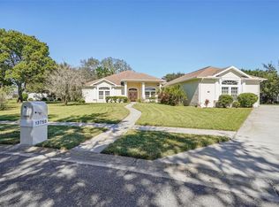 13750 Dowling Ln, Odessa, FL 33556