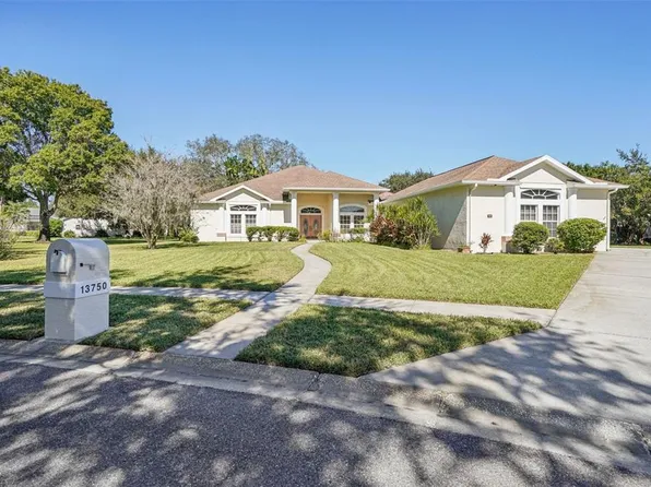 13750 Dowling Ln, Odessa, FL 33556