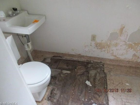 5th image of 52 Brown St