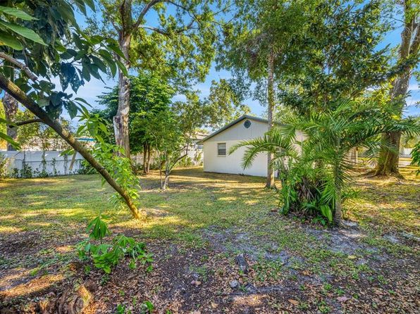 tampa-florida-82040831 picture