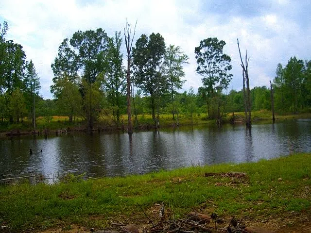 600 County Road 102 — Photo 3