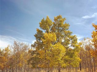 11335 Ranch Rd, Hartsel, CO 80449