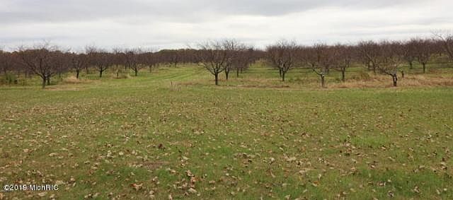 2nd image of 92637 County Road 687