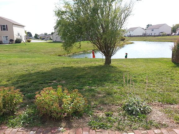 Backyard with pond