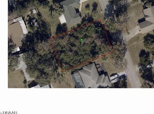 2930 Needle Palm Dr, Edgewater, FL 32141